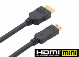 HDMImini kabel PANASONIC RP-CDHM15E-K